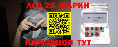 СК Будённовск