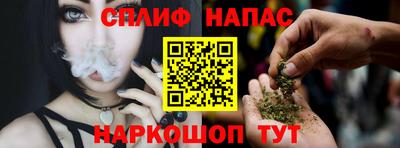 СК Будённовск